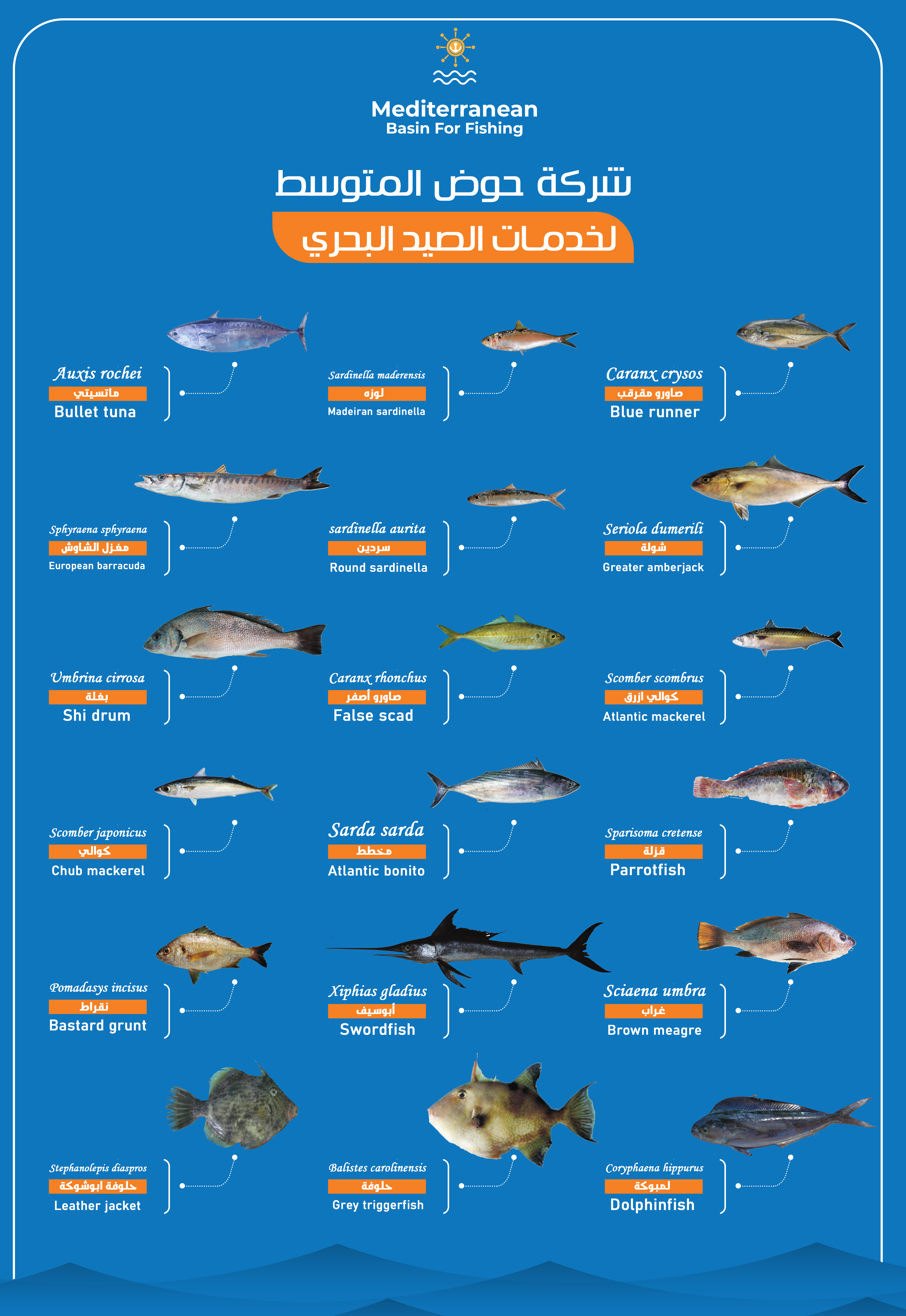 Fish Image